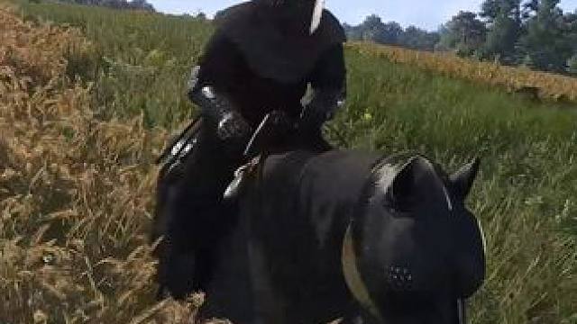 求你们别穿得那么丑的满地跑了 #天国拯救2 #天国拯救 #steam游戏 #单机游戏