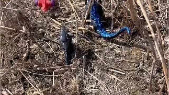 奥特曼遇到了怪兽差点掉河里了#奥特曼玩具 #儿童玩具 #小盆友玩具