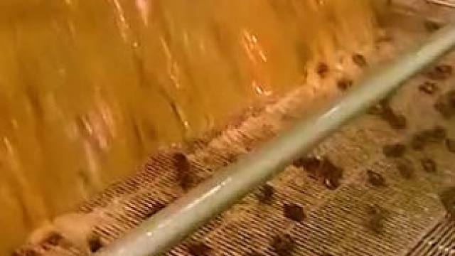 原来西梅没洗的时候这么脏？ #西梅干 #西梅 #三农 #制作过程