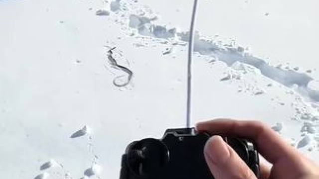 我发布了一个新视频，快来围观吧！