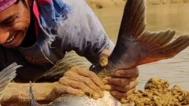 好大一条鱼#好大一条鱼 #年年有鱼 #玩个很新的东西 #玩的就是心跳 #抓鱼