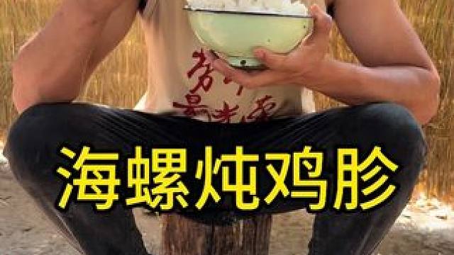 #我的乡村生活 #农村美食 #农村美食记录 
大海螺炖鸡胗这也太香了