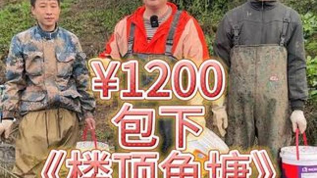 大家知道楼顶为什么要养鱼吗？ #户外 #抓鱼