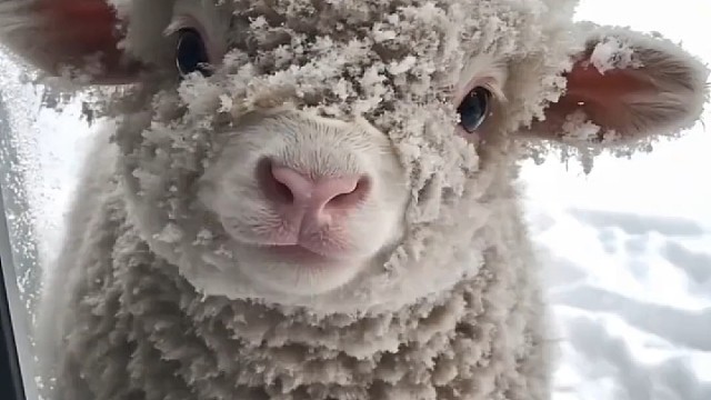 有人牵挂，心头暖；感激惦记，情更深