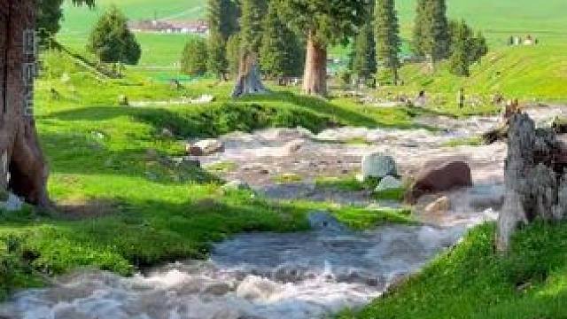 老祖宗诚不欺我，一方水土真的能养一方人#旅游 #长高 #减肥 #美白 #养生