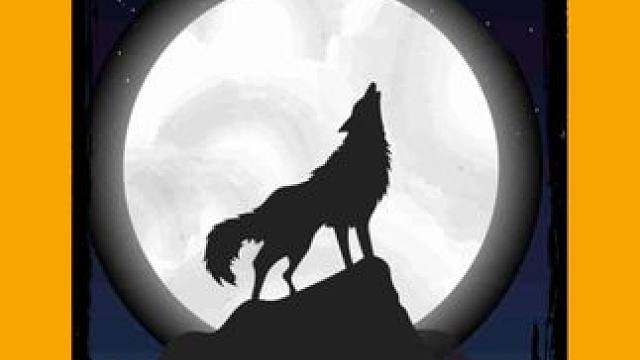 其实第一巴掌的时候 我就已经服了 #野生动物 #整活 #离谱 #民风淳朴 #养狗