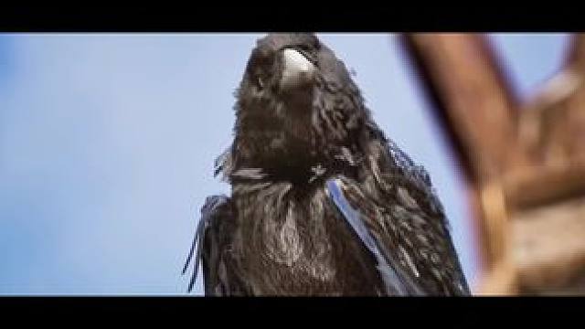 #游戏 #尤弥尔传奇 #下载教程 #游戏搬砖