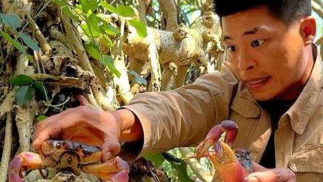 野外生存 合集混剪版#户外美食 #户外 #野外生存 #赶海 #原创作品