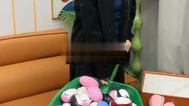 粘毛器 神奇的粘毛器!不仅能轻松清理头发和猫猫狗狗掉落的毛发，水一冲就干净能继续用了 #粘毛神器  