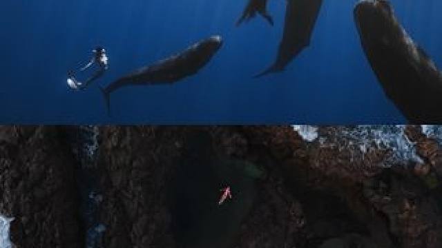 在蔚蓝的海洋中，我踏出每一步，心中燃烧着对自由的渴望与对梦想的执着。
出镜：Zoe
拍摄：Blues