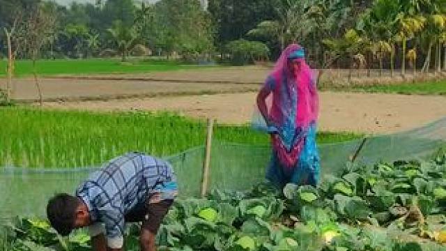 田园生活欢乐多 #辛勤劳动者记录农村生活 #田园生活乐趣多 #体验原生态美食的乐趣 #粗茶淡饭吃起香