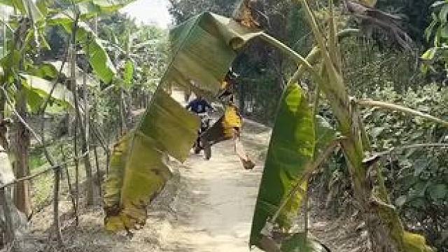 哈哈 #田园生活乐趣多