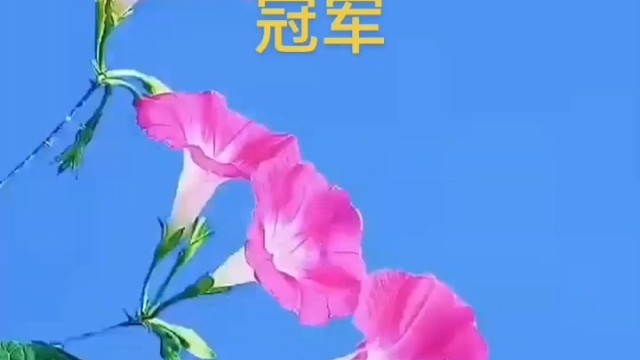 挑战自我！精彩万分