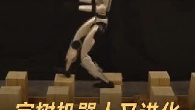 宇树机器人又进化，倒走梅花桩 #宇树机器人  #梅花桩  #国产机器人  #人工智能  #科技强国