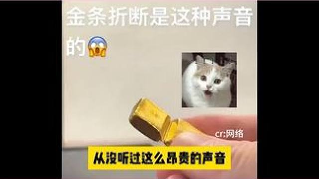 也是没听到这么昂贵的声音SQ~ #黄金 #搞笑 #惊不惊喜意不意外 #搞笑剪辑