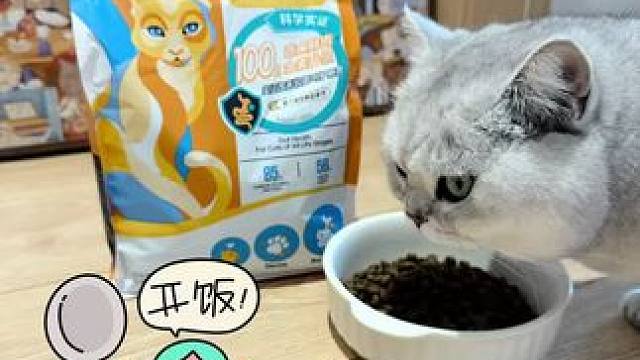 好吸收的高蛋白猫粮 素力高，只为猫咪一口营养#养猫人 #猫粮推荐 #素力高