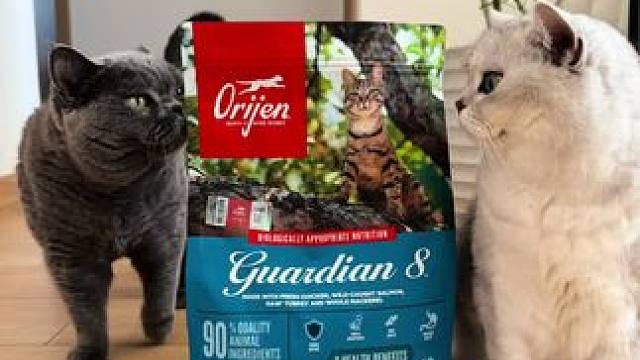 配享太庙 渴望，八重守护，全面守护猫咪健康#猫粮推荐 #进口猫粮推荐 #渴望猫粮