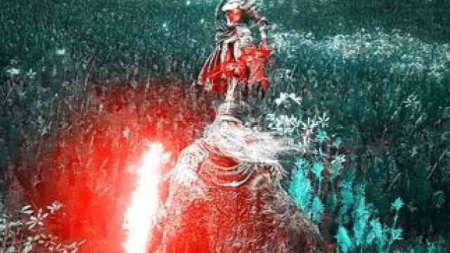 梦中的战斗！#艾尔登法环 #只狼