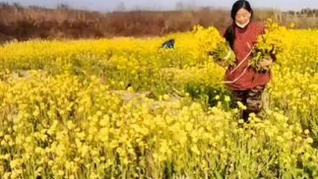 山卡卡里的农村大姐学费了开直播每天收获满满您还在恐播怕播不敢开播开播了不知说什么吗#记录真实生活 #