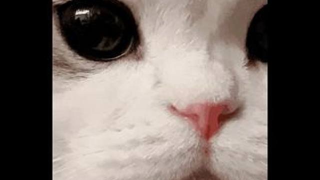 以后买东西心里大喊！死手！快搜啊！ #护肤 #种草  #美容院  #万万没想到