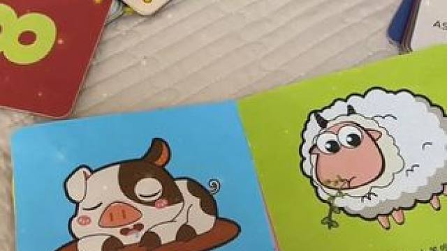 八个月以后就是宝宝的认知高峰期，认知卡一定要提前安排上，不要选错哦#母婴好物  #启蒙早教  #认知