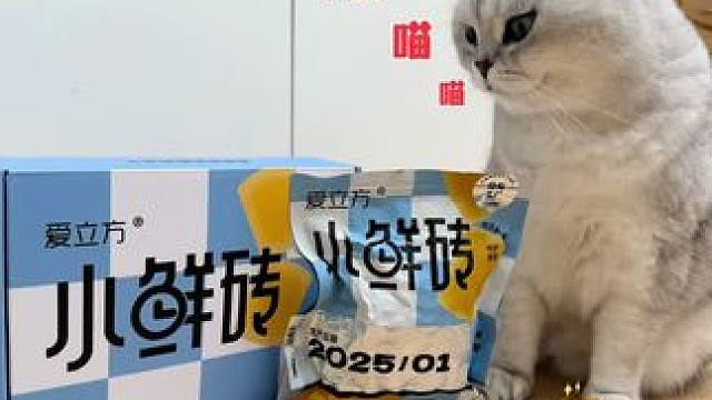 小鲜砖，一朝鲜，吃遍天～#主食冻干猫粮 #猫用品 #吃货猫 #猫粮推荐