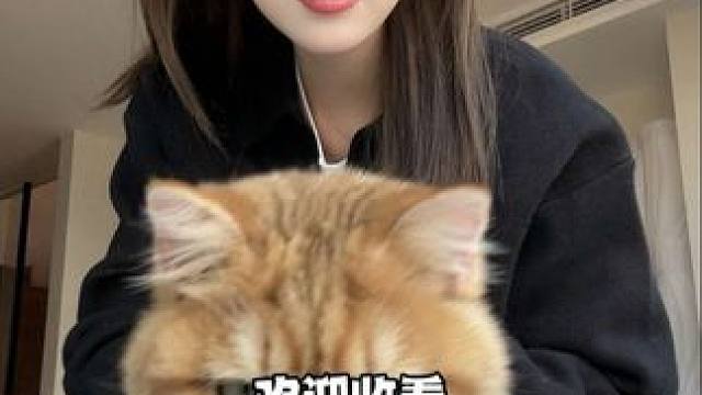 两人一猫的小生活真的是太幸福啦！#日常vlog #女大学生日常生活 #vlog #大学生的一天 #合