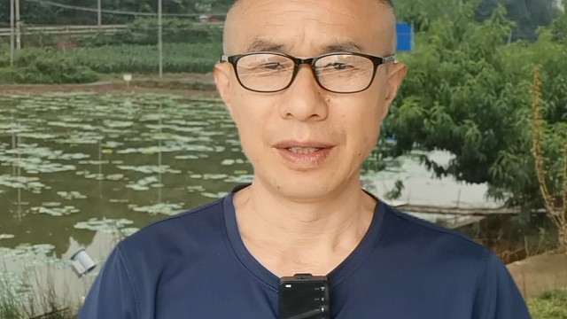 养泥鳅放寸苗如何