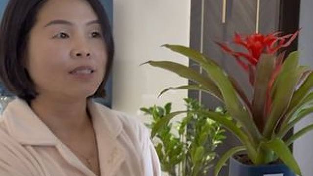 情人节送我条裤子再送妈妈一盆花，我猜妈妈肯定会很高心！ #仪式感 #家庭 #惊喜 #瓜子二手车