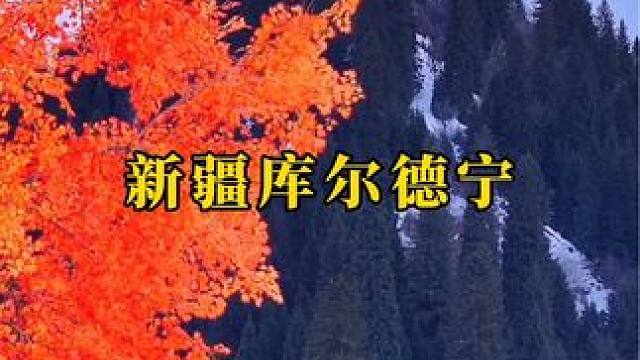 属于伊犁的浪漫#库尔德宁 #治愈系风景
