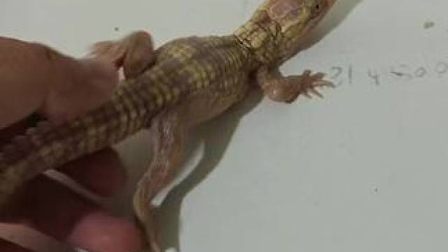 原来真的一眨眼就长大了~