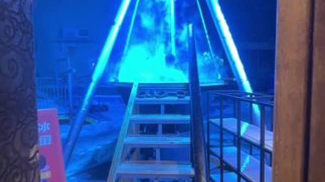 当铁锅炖自己照进现实 太搞笑了！维斯特彻底疯狂！！膨胀动物园！等大小朋友来玩#亲子游玩好去处 #维斯