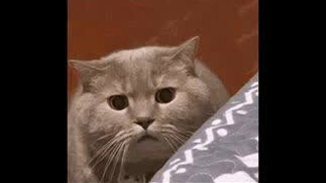 玩个很新的东西~