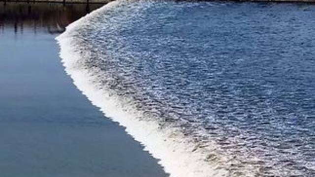 【柔美与壮阔的终极碰撞！海宁盐官百里钱塘梅花林爆火出圈！】 
当百里钱塘的梅花撞上天下奇观一线潮
「