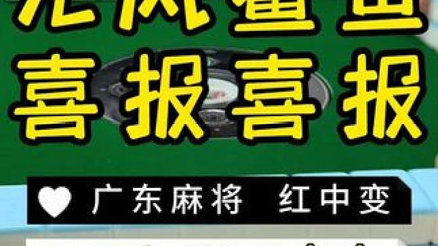 7把拿下186个 #广东麻将 #麻将治百病 #红中麻将