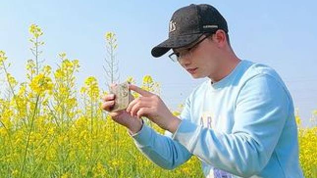 油菜花开了试试这样拍，简单几个镜头拍出唯美小短片#拍花技巧 #油菜花 #花海 #春暖花开奔你而来 #