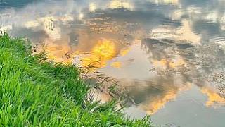 萬(wàn)萬(wàn)沒(méi)想到，鯨魚(yú)爆炸的威力竟然這么大#小魚(yú)仔