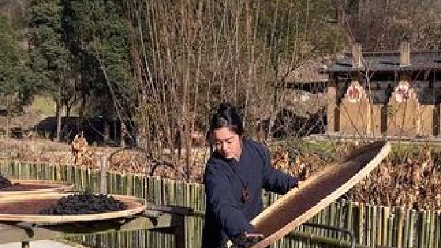 #九蒸九晒黄精 已结缘的师兄，吃出柴火的香气，品出太阳的味道了吗#道系青年 #来武当山过几天仙暇日子