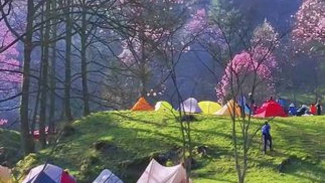 四川秘境之地绵阳江油藏王寨，一个你想去不一定能到的地方#江油旅游 #世外桃源 #好看的花一定要分享给