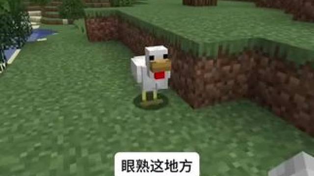 #我的世界 #Minecraft