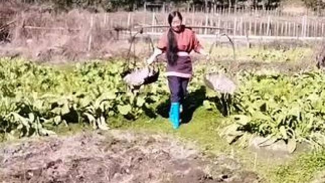 山卡卡里的农村大姐学费了开直播每天收获满满满您还在恐播怕播不敢开播开播了不知说什么吗#记录真实生活 