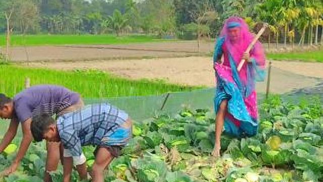 看完不笑算我输 #这就是农村的生活 #田园生活乐趣多 #看一遍笑一遍