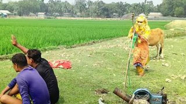 哈哈田园生活乐趣多 #辛勤劳动者记录农村生活 #这就是农村的生活 #体验原生态美食的乐趣  #田园生