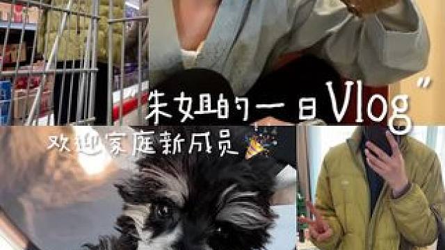 vlog—家里又添加一枚可爱新成员 #分享生活 #日常vlog #记录真实生活 #狗是人类最忠诚的朋