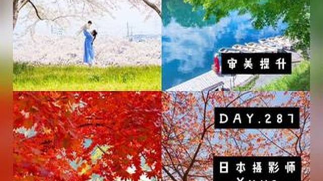 审美提升|DAY.287| Yuya 初见Yuya的作品，像踏入满是诗意的奇幻森林，开启日系清新之旅