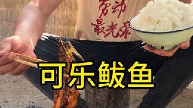 #农村美食 #我的乡村生活 #把家乡的味道分享给大家 可乐鲅鱼好吃不止是一点点#大山里的味道