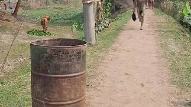 哈哈 #这就是农村的生活 #田园生活乐趣多