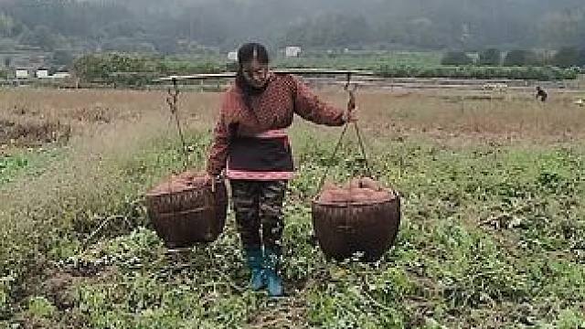 山卡卡里的农村大姐学费了开直播每天收获满满您还在恐播怕播不敢开播开播不知说什么吗#记录真实生活 #农