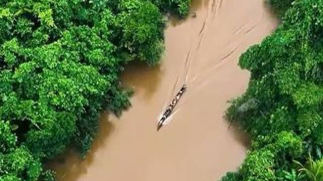 危机四伏的亚马逊热带雨林，原始部落如何在其中传承千年 #动物世界 #荒野求生 #内容启发搜索