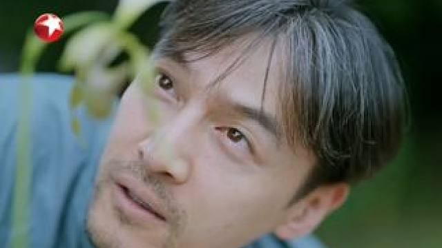 兜兰巧妙借虫传粉，展现生命间的和谐共生。#胡歌  由此反观人类，生存路上过度索取，打破生态平衡，我们